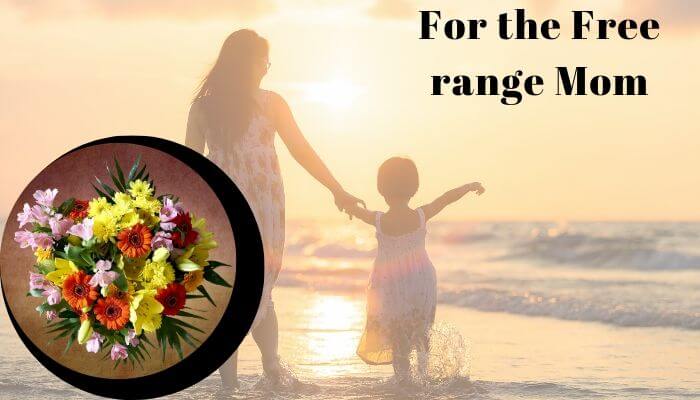 For the Free Range Mom
