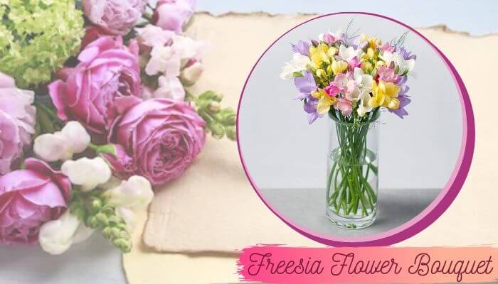 Freesia Flower Bouquet