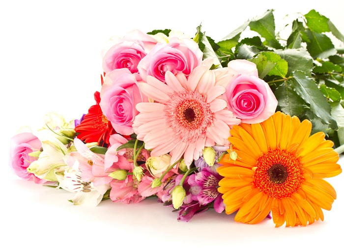 Fresh Flowers