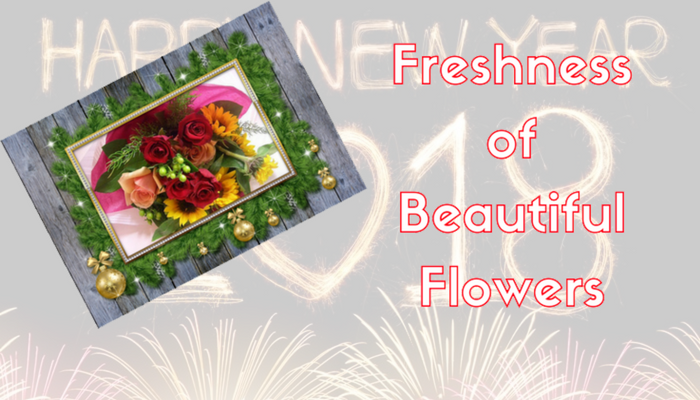 Freshness of Beautiful Flowers