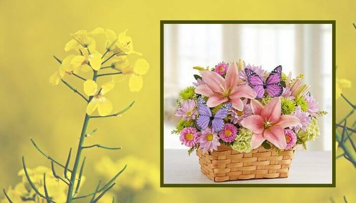 Garden Inspiration Bouquet