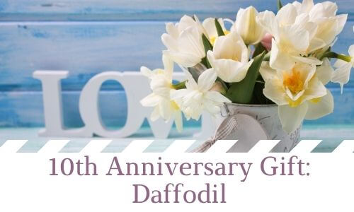 10th Anniversary Gift: Daffodil
