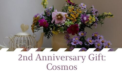 2nd Anniversary Gift: Cosmos