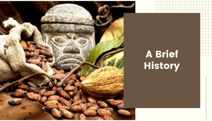 A Brief History