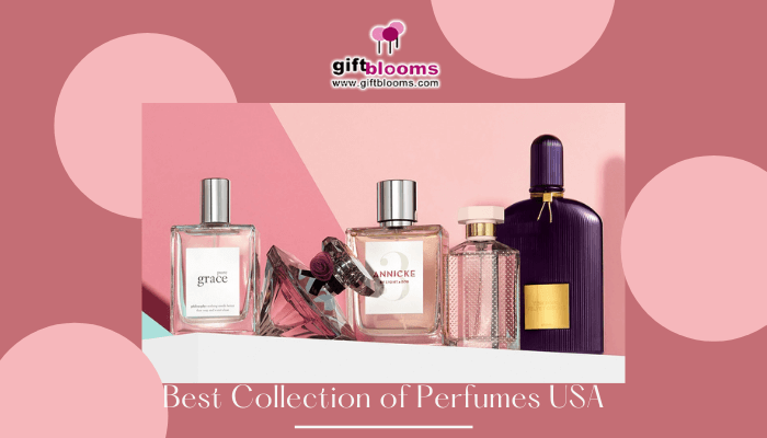 Best Collection of Perfumes USA