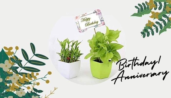 Birthday/Anniversary
