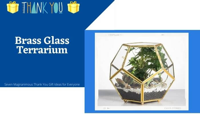 Brass Glass Terrarium