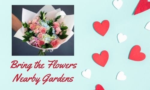 Bring the Flowers nearby gardens