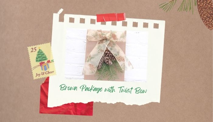 Brown Package with Twist Bow