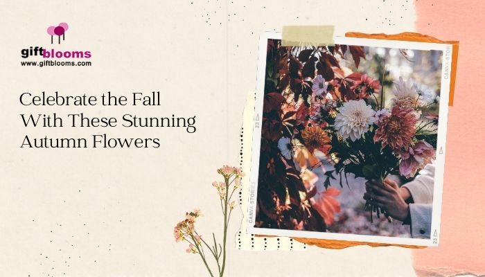 Autumn Flowers