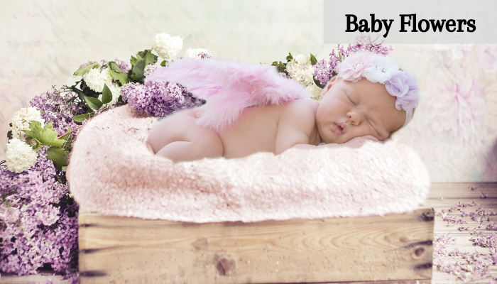 New Born Baby Flowers