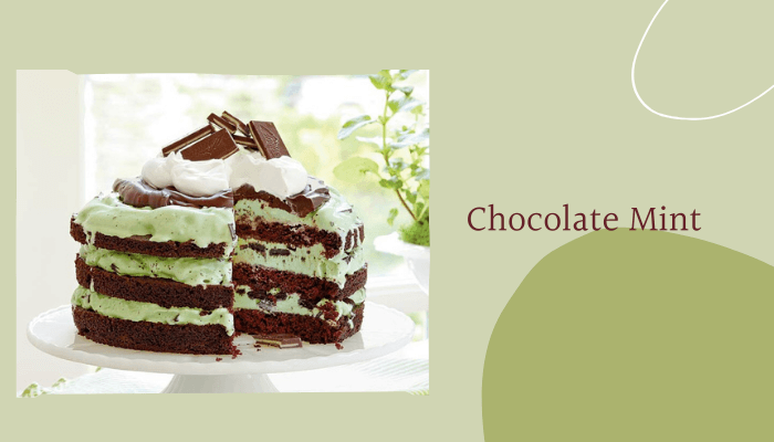 Chocolate Mint