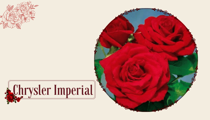 Chrysler Imperial
