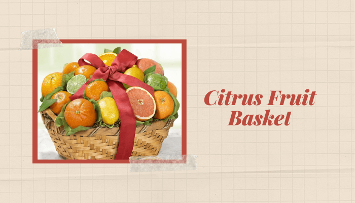 Citrus Fruit Basket