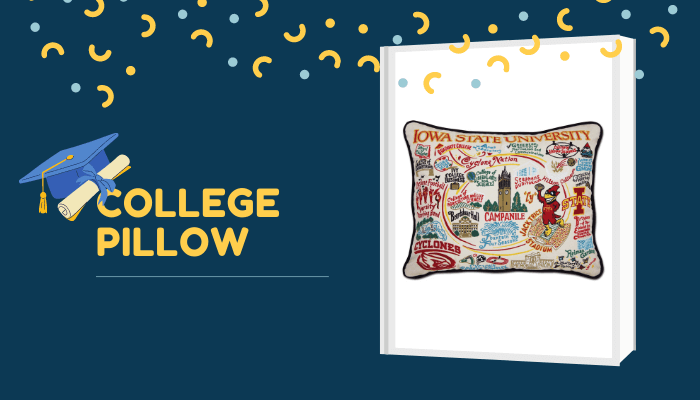 College Pillow