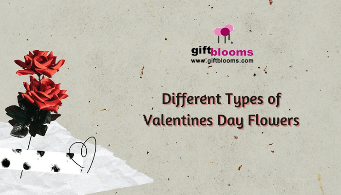 Valentines Day Flowers