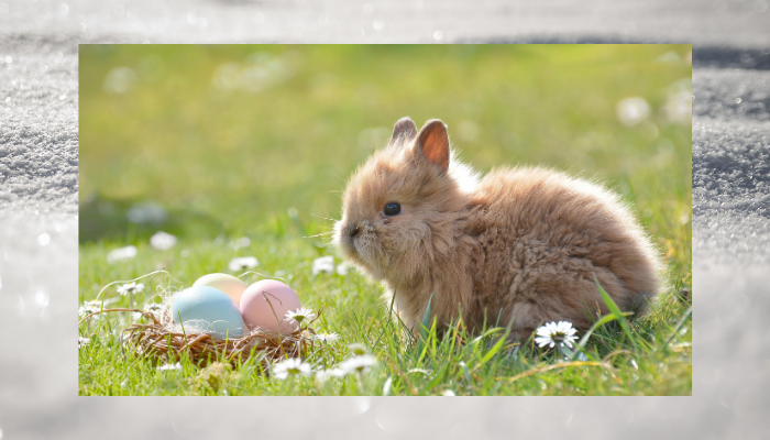 ”easter