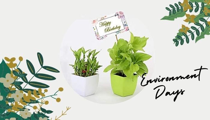 Environment Days