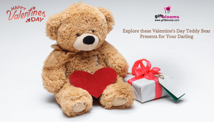 Valentine’s Day Teddy Bear