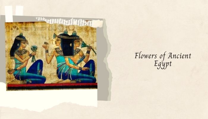Flowers of Ancient Egypt