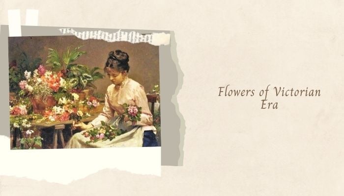 Flowers of Victorian Era