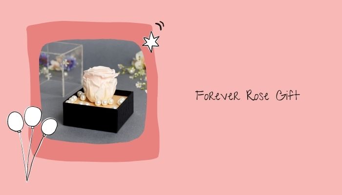Forever Rose Gift