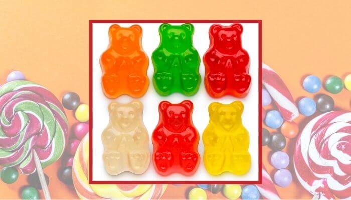 Fruity Gummy Bear Candy