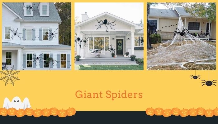 Giant Spiders