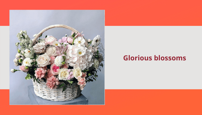 Glorious blossoms