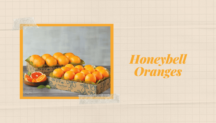 Honeybell Oranges