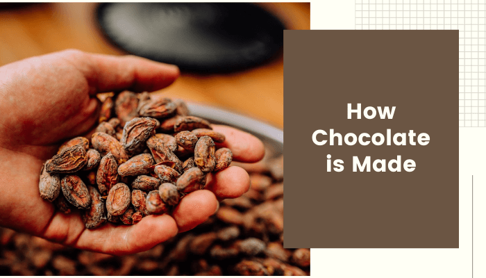 How Chocolate is Made