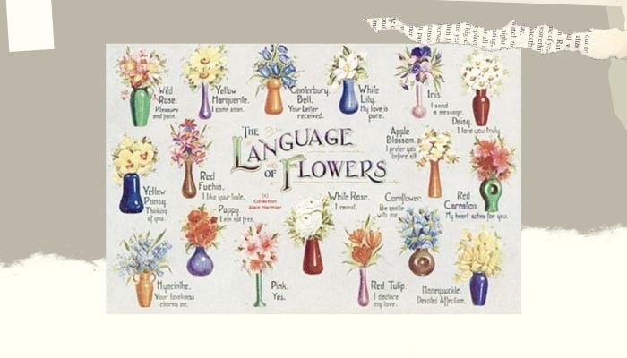 Language of Flowers