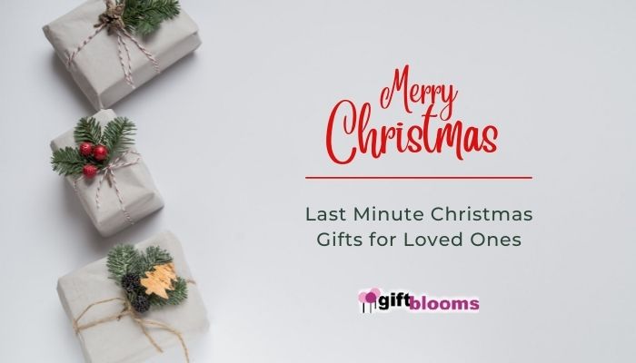 Christmas Gifts for Loved Ones