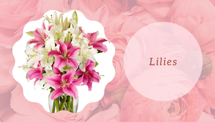 Lilies