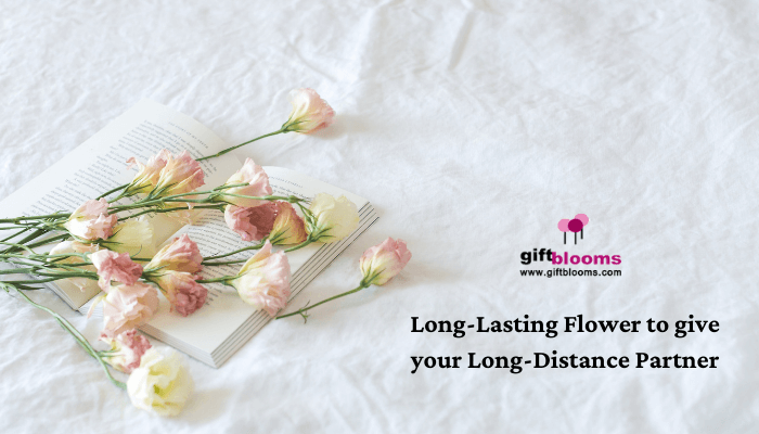 Long-Lasting Flowers