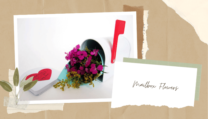 Mailbox Flowers
