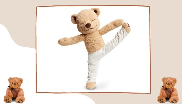 1) Meddy Teddy