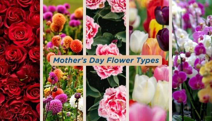 Mother's Day Flower Types