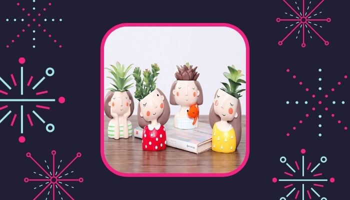 Plants with Unique Pot