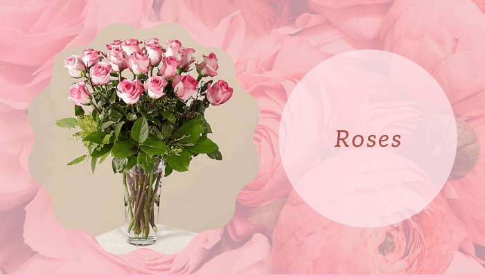 Roses