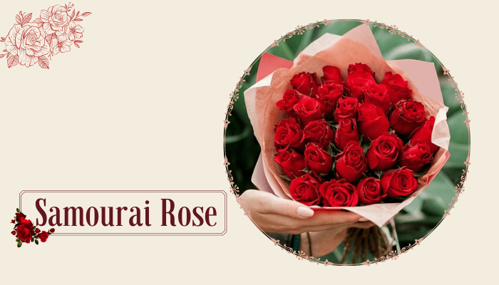 Samourai Rose