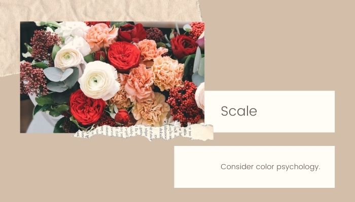 Scale