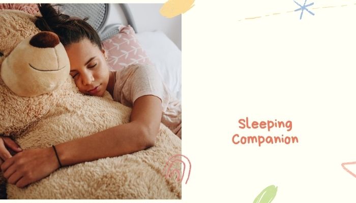 Sleeping Companion