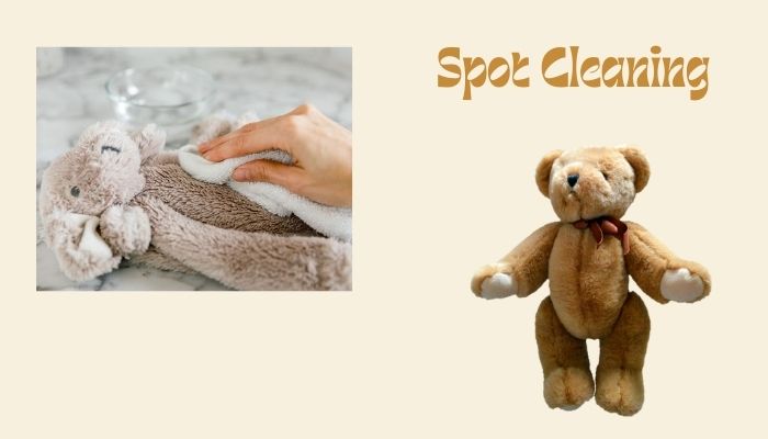 Spot Cleaning