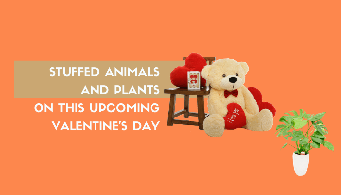 Stuffed Animals and Plants for Valentine’s Day