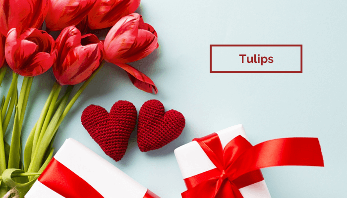 Tulips