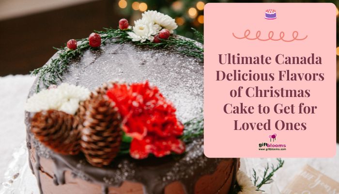 Ultimate Canada Delicious Flavors of Christmas Cake to Get for Loved Ones