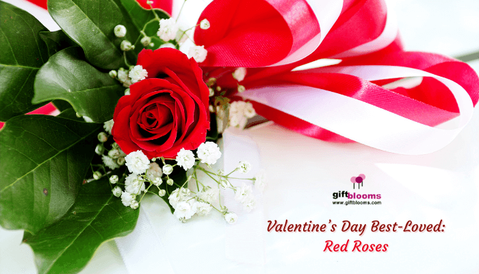 Valentine’s Day Red Roses
