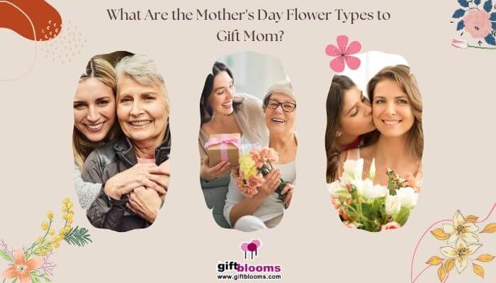 What Are the Mother's Day Flower Types to Gift Mom?