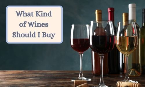 What kind of wines should I buy?